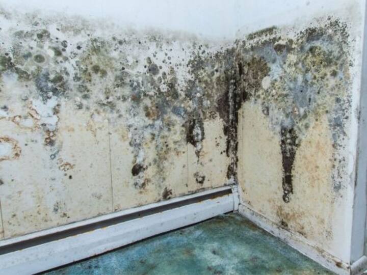 water damage ann arbor; don't ignore water damage problems